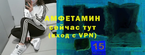 прущие грибы Козловка