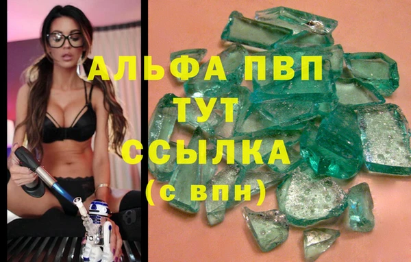 прущие грибы Козловка