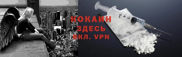 прущие грибы Козловка