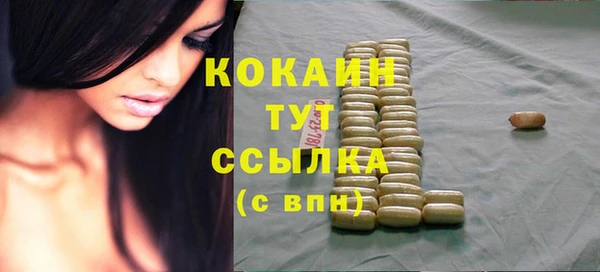 прущие грибы Козловка