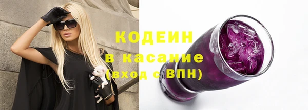 прущие грибы Козловка