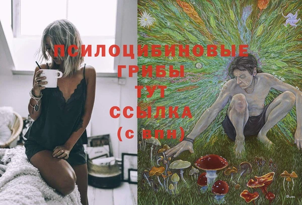 мдма Козельск
