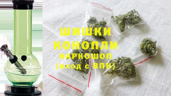 прущие грибы Козловка
