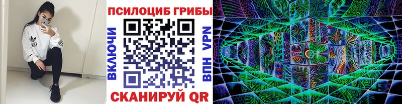 Галлюциногенные грибы Psilocybe  Называевск 