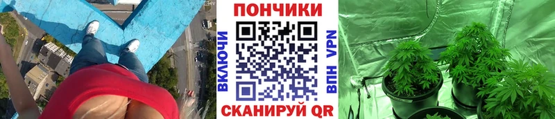 цены наркотик  Называевск  Бошки марихуана AK-47 